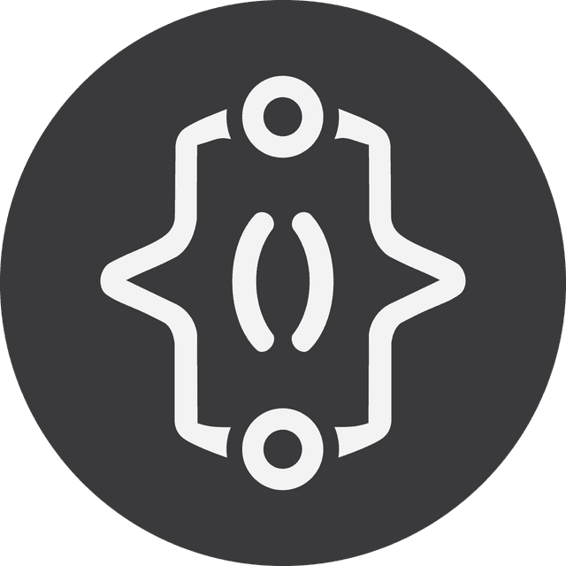 Devvize Services Logo